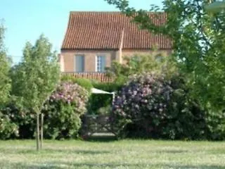 De Peperbus 3*